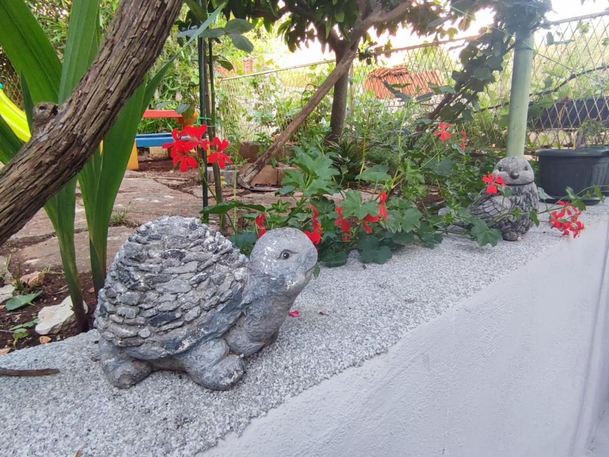 Apartment With Garden Vela Luka Exteriér fotografie